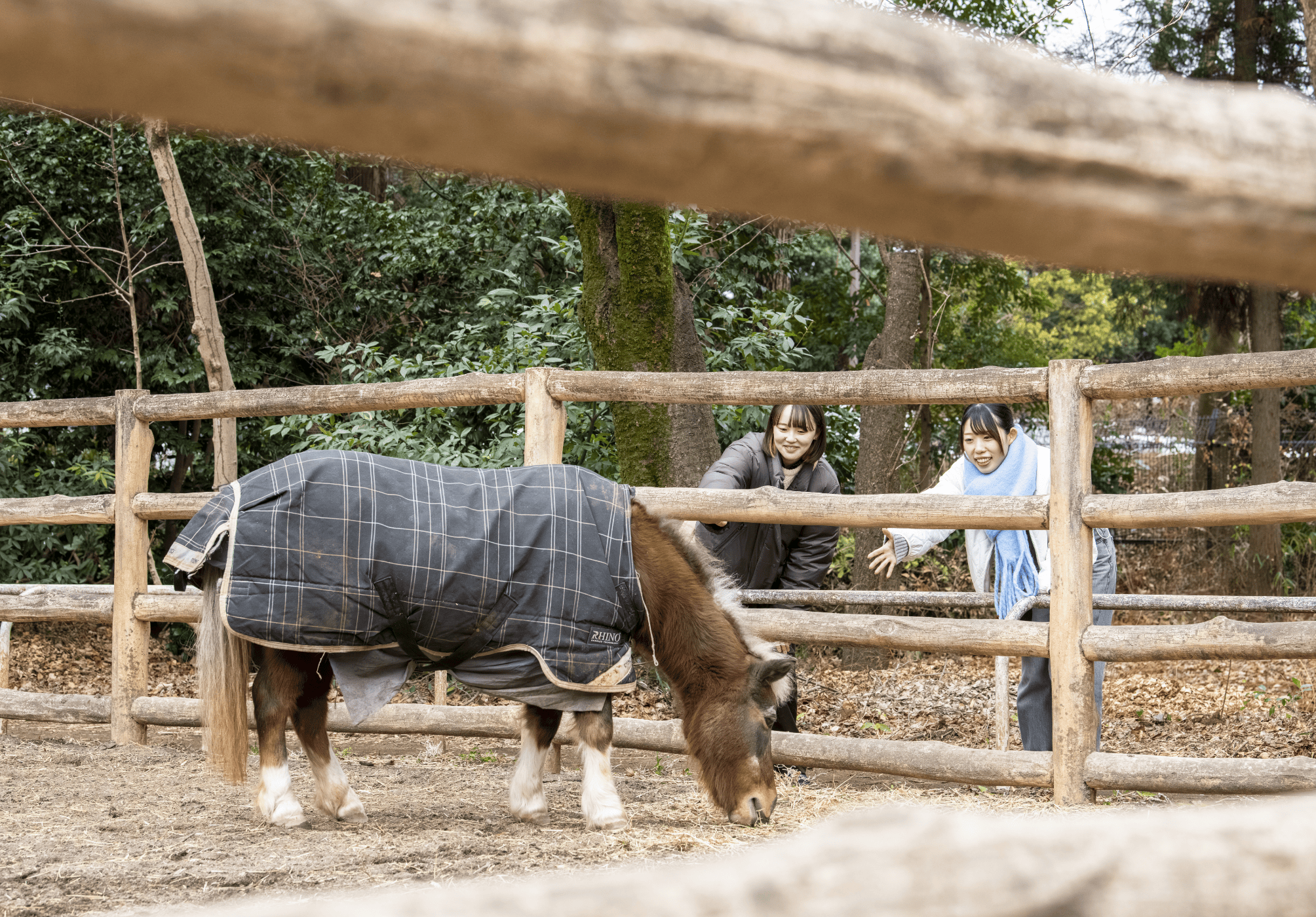 智光山公園こども動物園