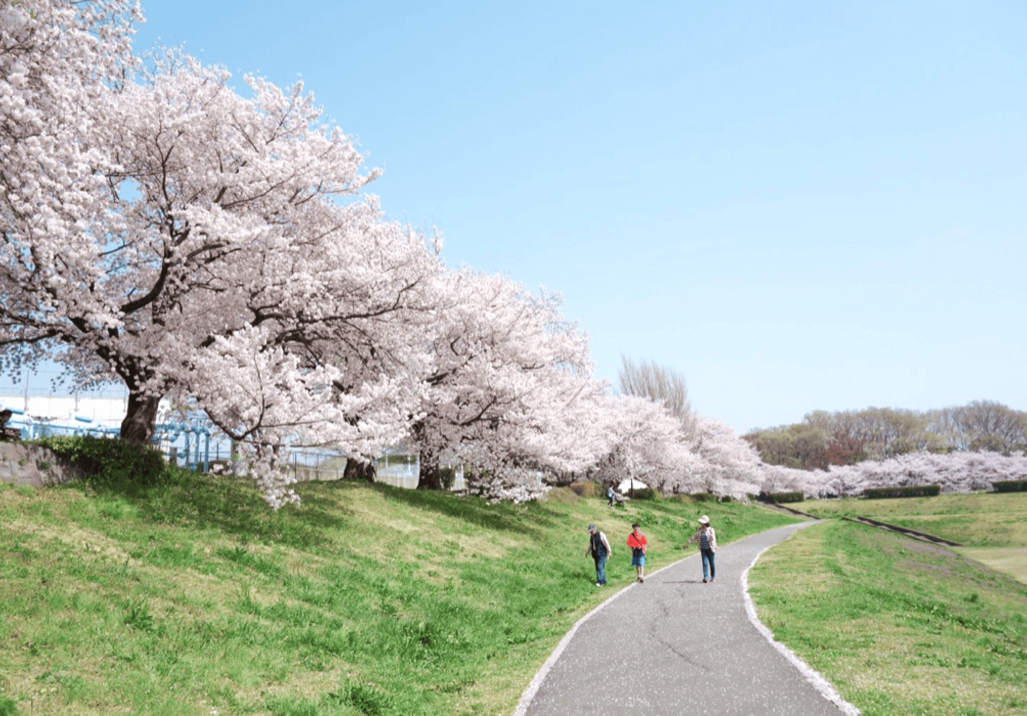 大宮第二公園