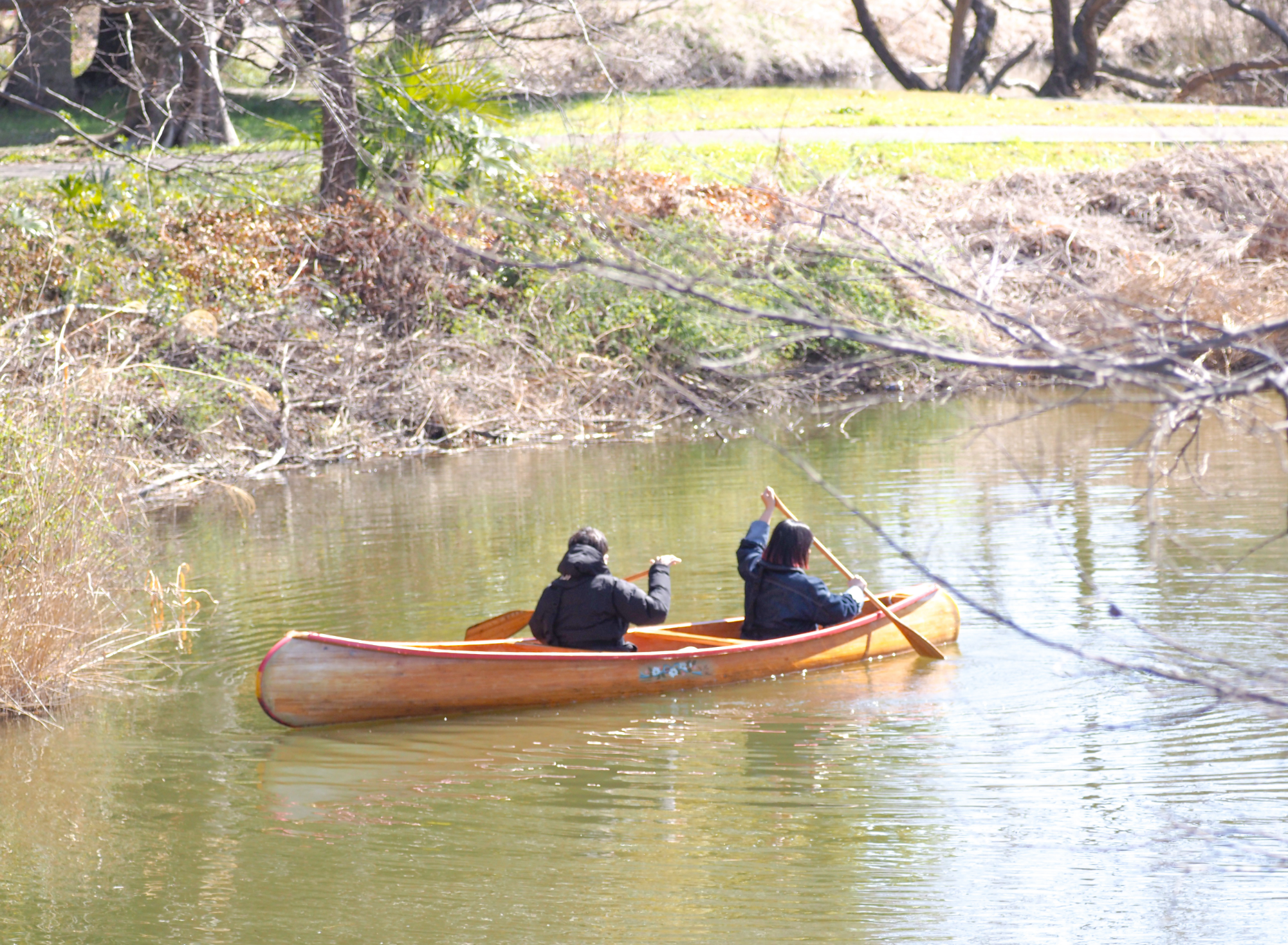 羽生水郷公園カヌー