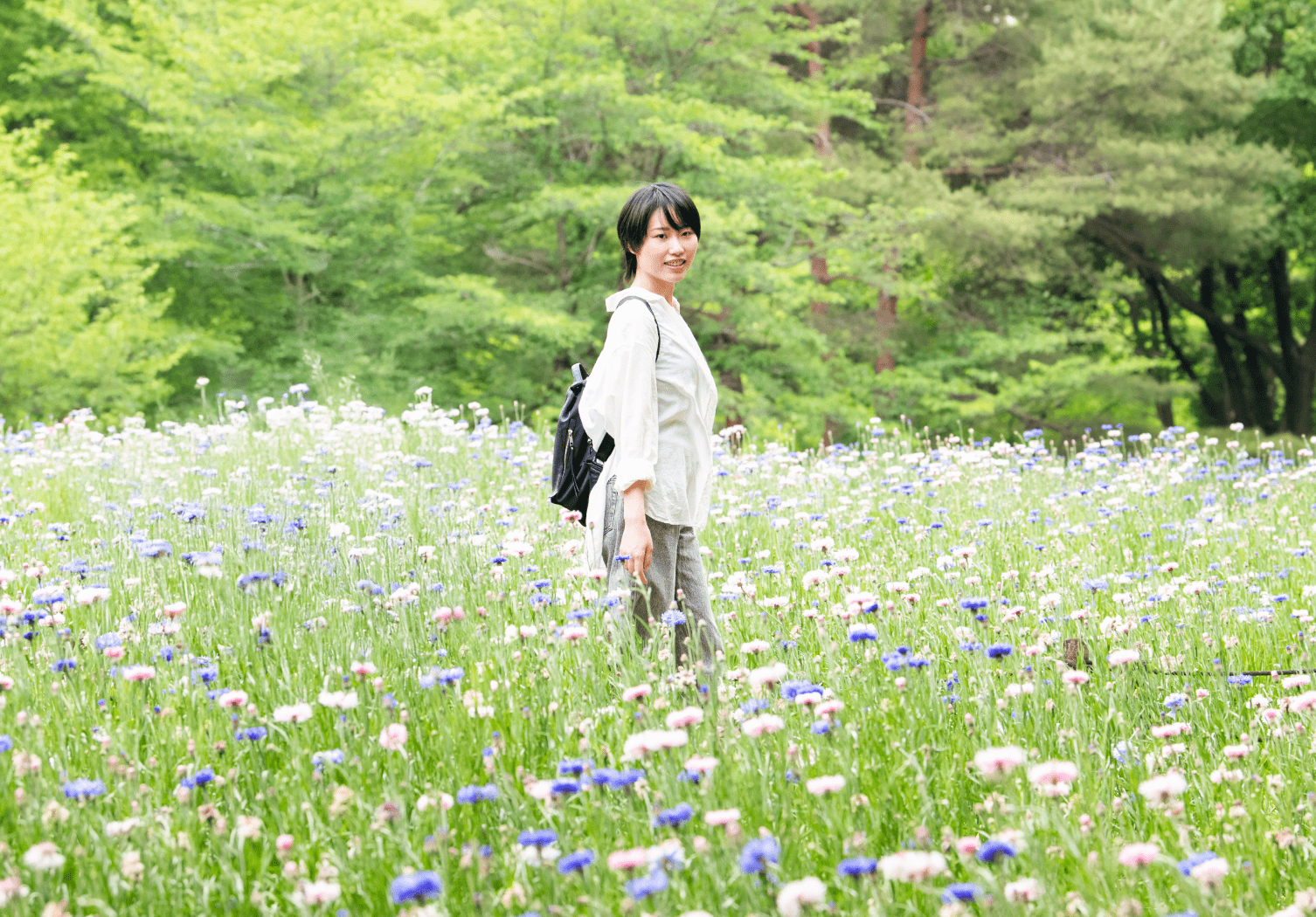 花の丘