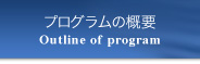 プログラムの概要