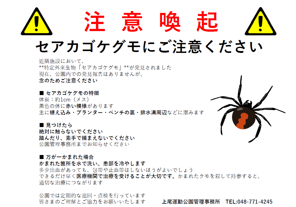 セアカゴケグモにご注意ください | 上尾運動公園 | 公益財団法人埼玉県
