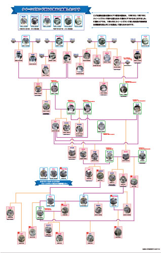 コアラの家系図