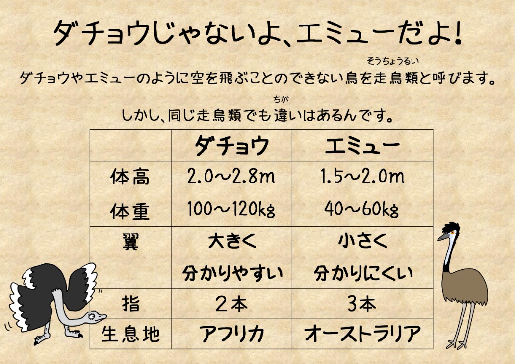 エミューとダチョウの比較看板 エミュー、ダチョウの比較看板