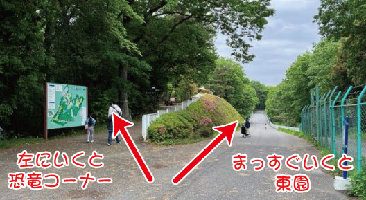 恐竜コーナーに行きたい方は左へ 分岐路