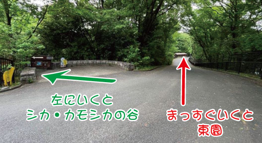 左のカモシカ看板が目印 分岐点