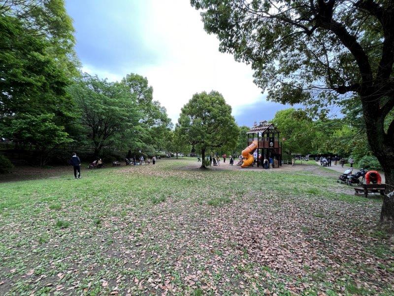 ピクニックに最適です! ピクニック広場
