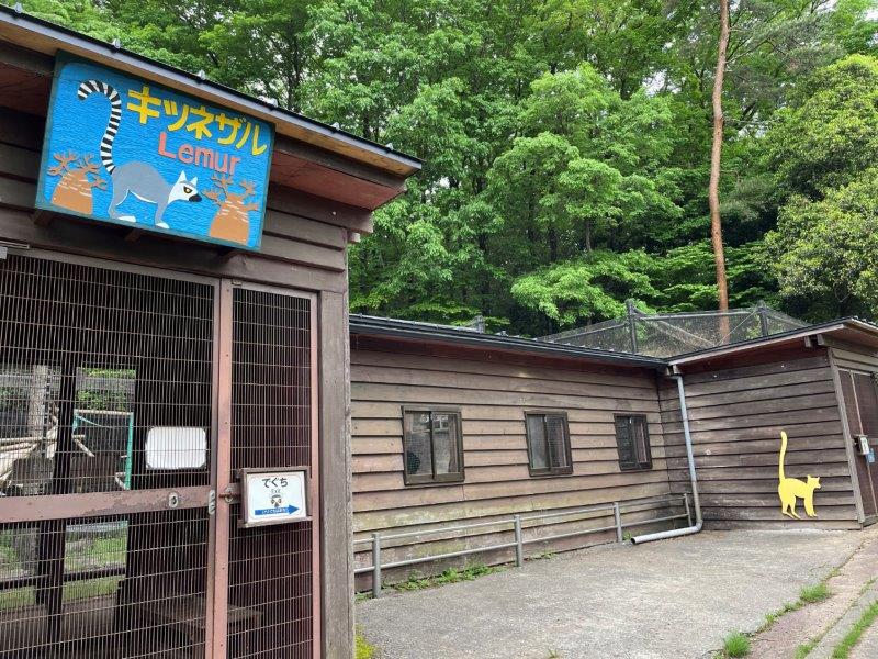 キツネザル舎です キツネザル舎