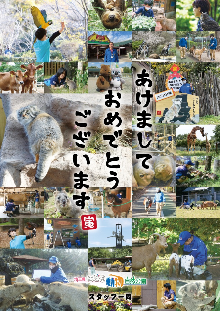 2022年1月2日に掲載されたポスター 新年のご挨拶ポスター