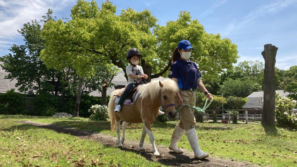 乗馬中のクリオ