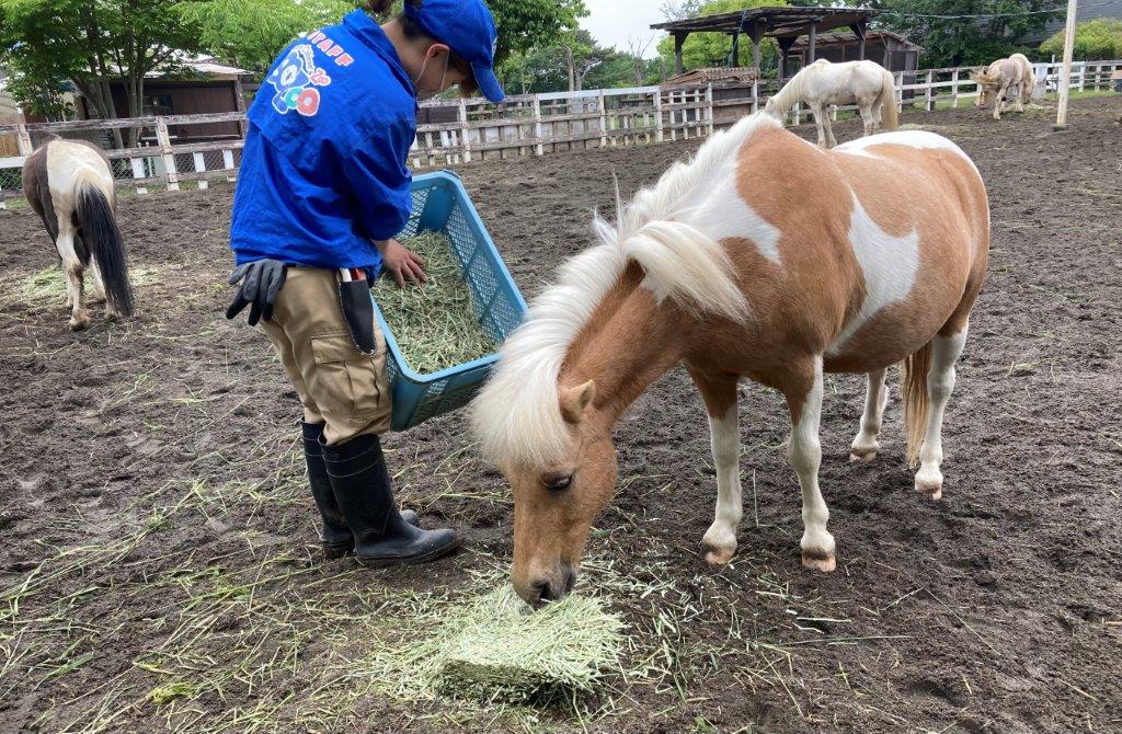 エサを食べているクリオ