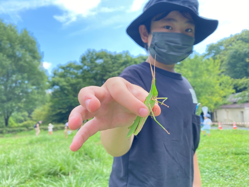 ショウリョウバッタを見つけたこども