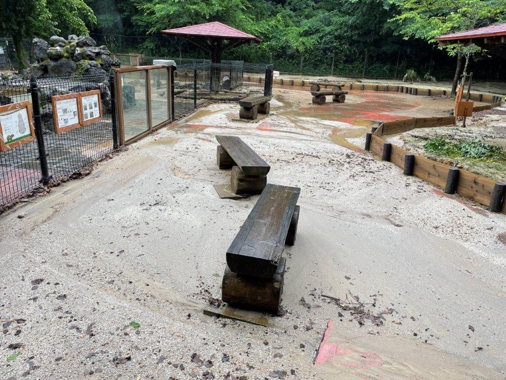 豪雨後のカピバラ・ワラビー広場