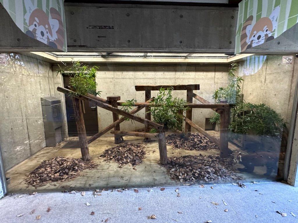 落ち葉in室内展示場 室内展示場