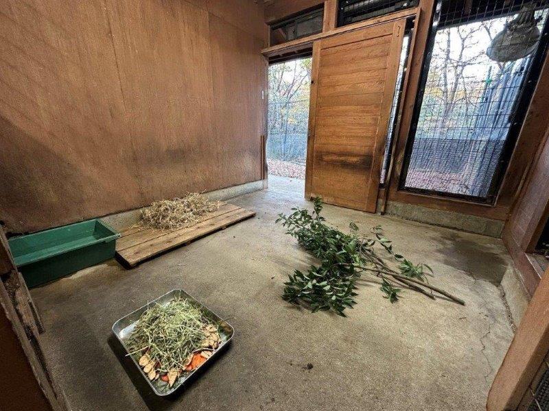 部屋に餌をセットして、あとは入ってもらうだけ・・・ 部屋の様子