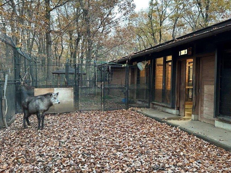 扉を開けても距離を取るメグル 中々部屋に入らないメグル