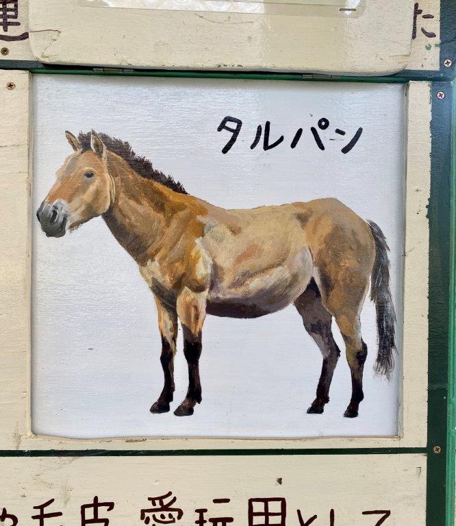 タルパン タルパンの絵