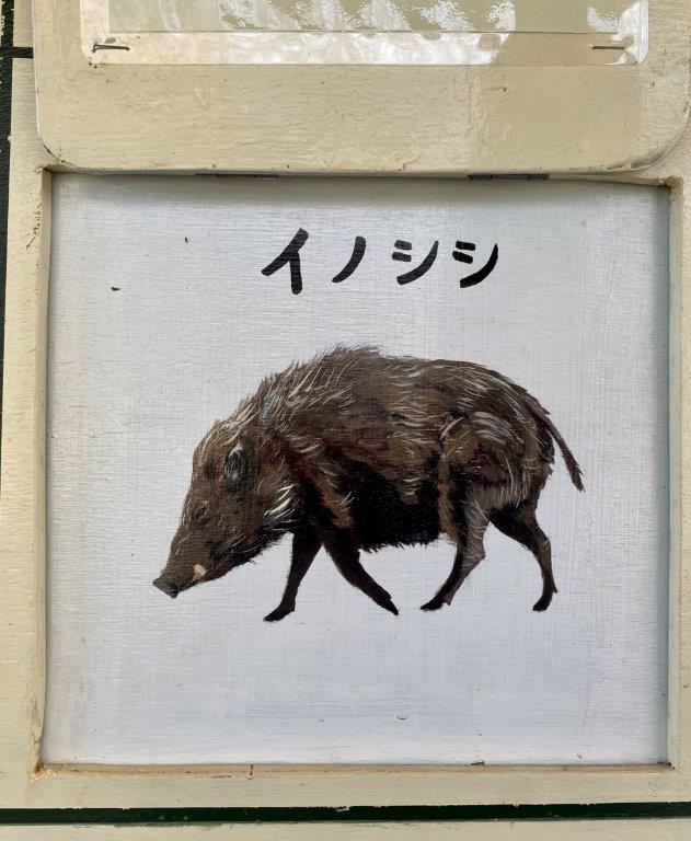 イノシシ イノシシの絵