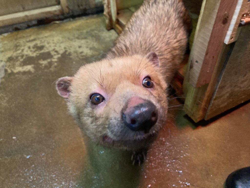 ミコト ミコトの写真