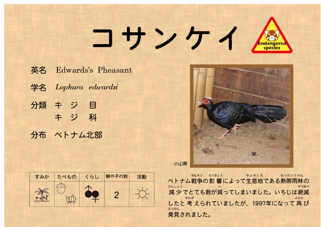 コサンケイ種ラベル