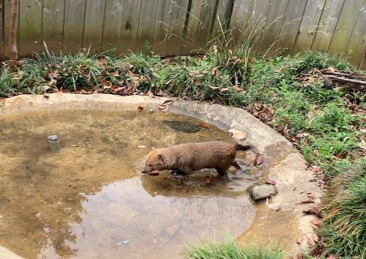 ミコト池の中へ 池の中にいくミコト