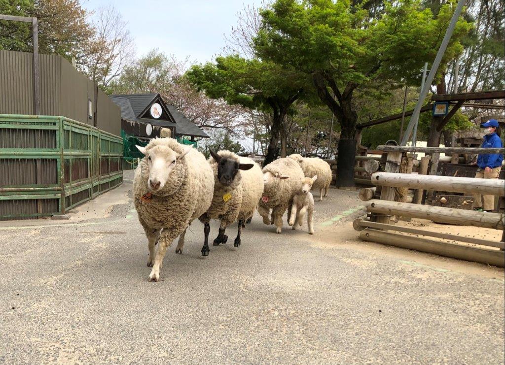 一斉に帰る様子