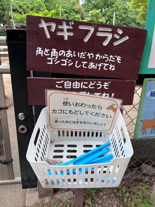 キャプション(編集は画像ボタンから) ヤギブラシ