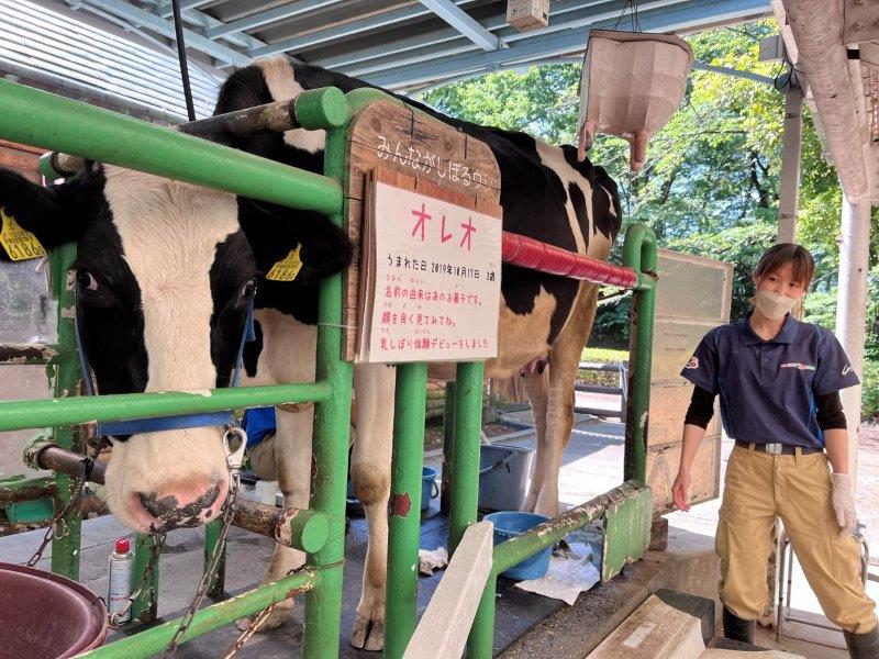 キャプション(編集は画像ボタンから) 乳しぼり体験