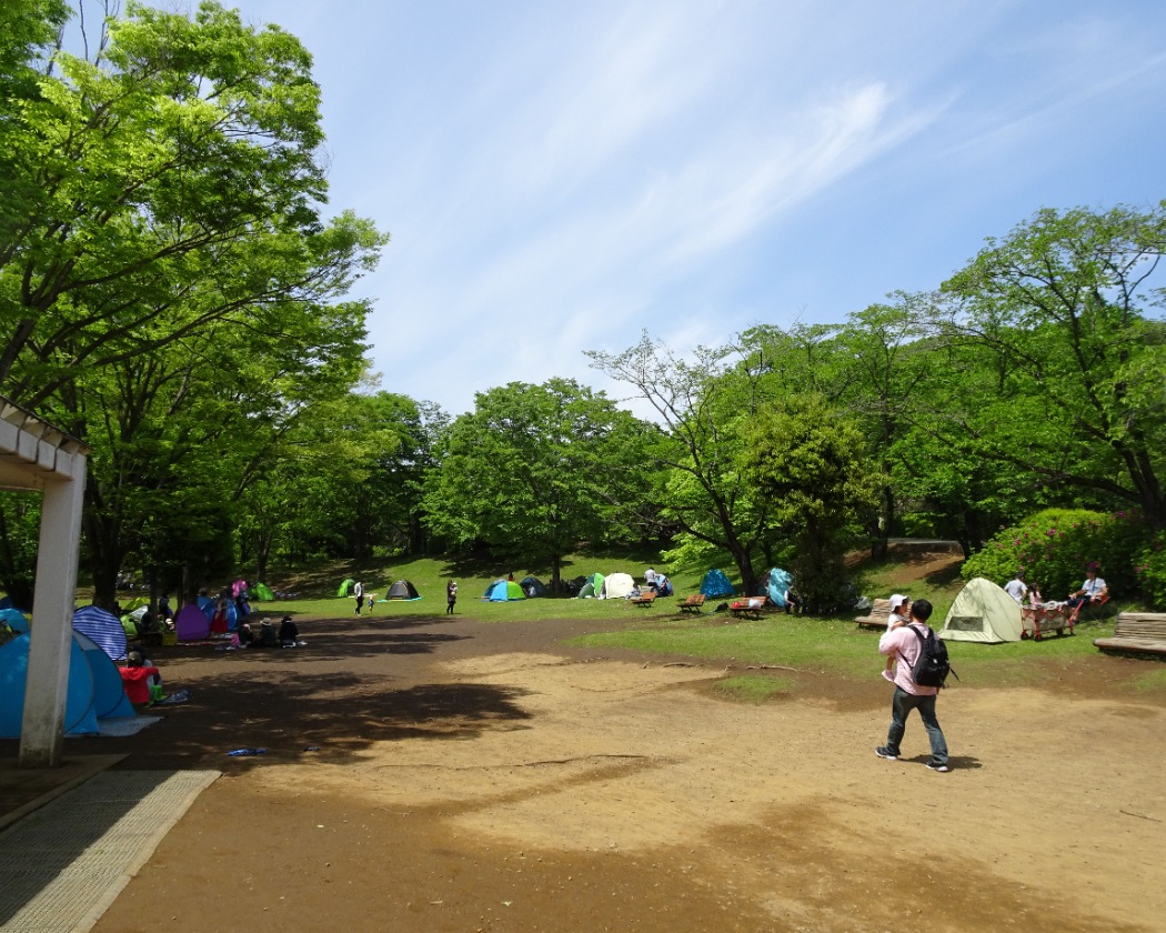 野外ステージ近くにある自由広場 自由広場