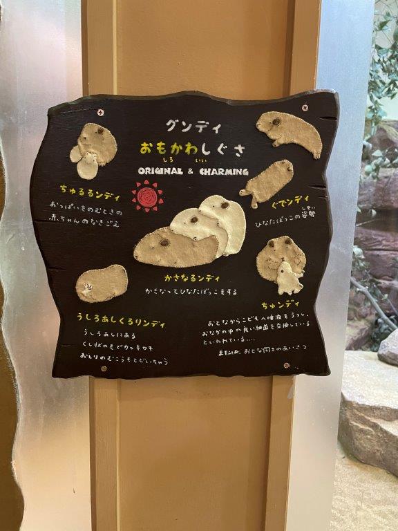 グンディ