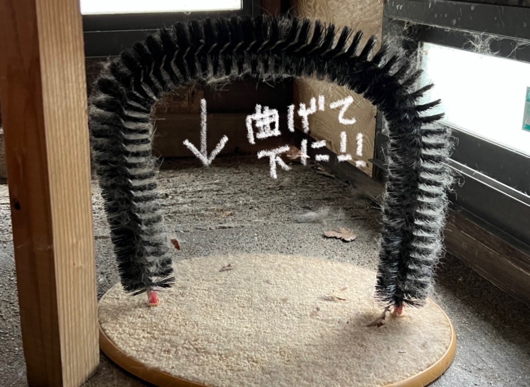 猫用のアーチブラシを低く曲げてみた様子
