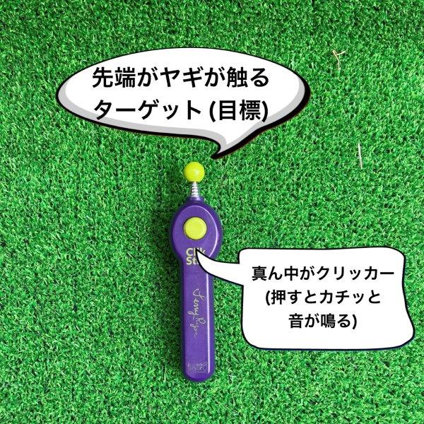 ターゲットトレーニングで使う棒 ターゲット棒