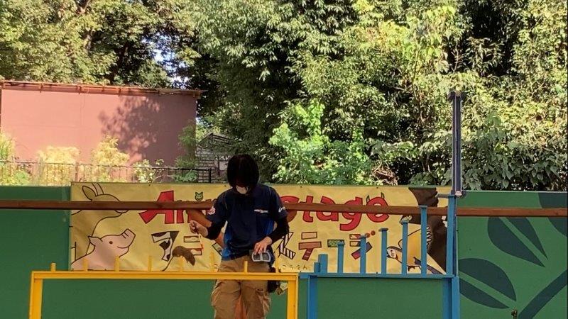 練習中のチーズ デグーのチーズ