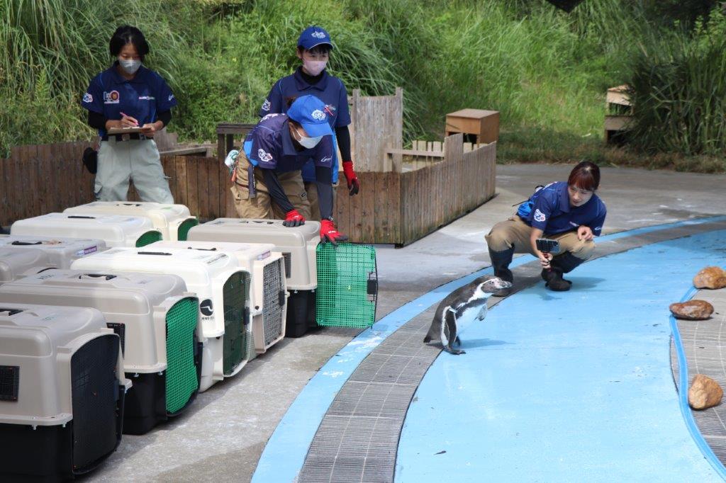 ケガなどないかな?とチェックもしています