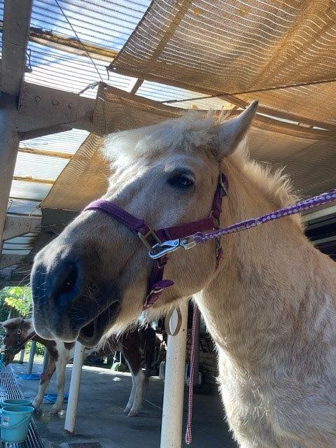 満足そうなユキオ ユキオ