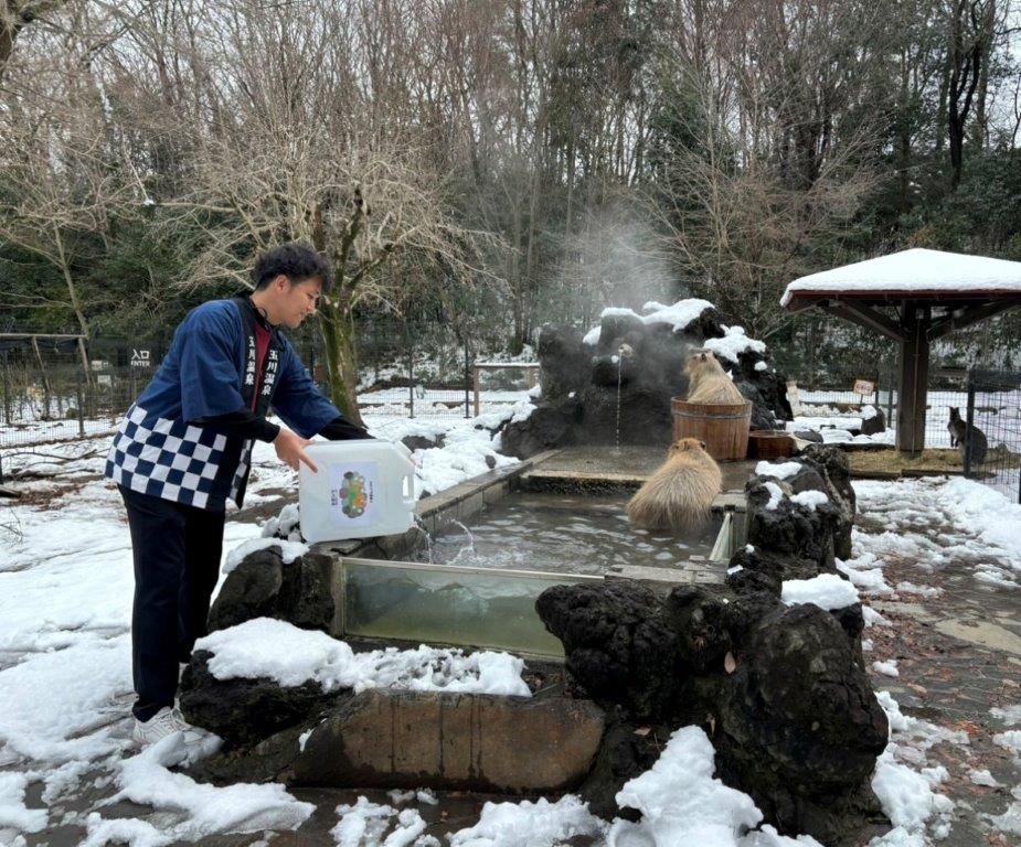 玉川温泉コラボ