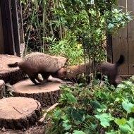 匂いチェック 匂い確認