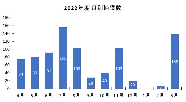 2022年度