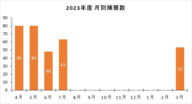 2023年度