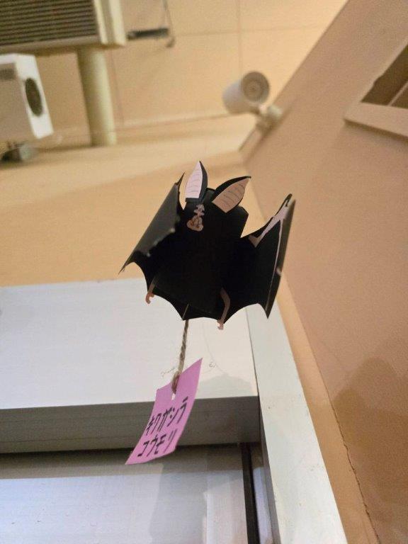 キクガシラコウモリ(鼻が特徴的) キクガシラコウモリ