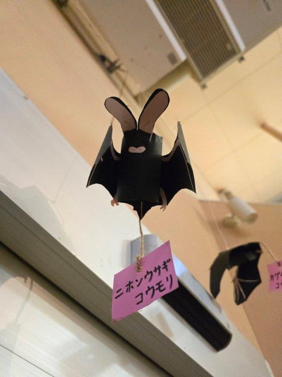 ニホンウサギコウモリ(大きな耳が特徴的) ニホンウサギコウモリ