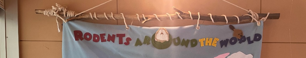 ウスイロホソオクモネズミの齧り木に吊るしました。齧った跡はあえて残してやすりがけしました。