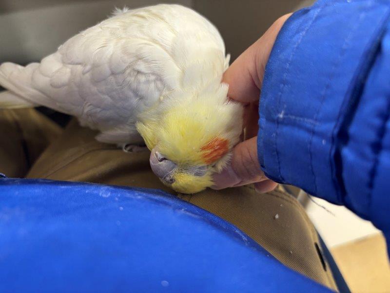 気持ちよさそうにしている時 気持ちよさそう