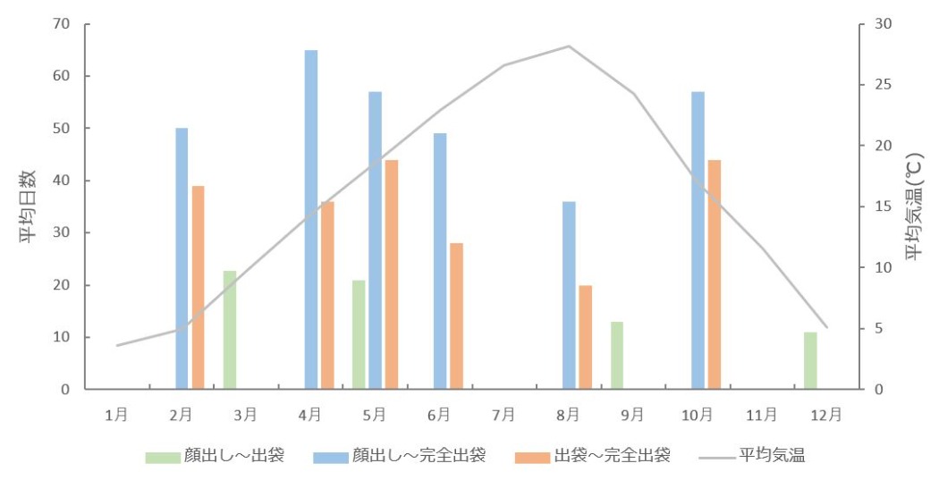 クオッカにおける月ごとの各平均日数と平均気温 クオッカの月ごとの平均気温