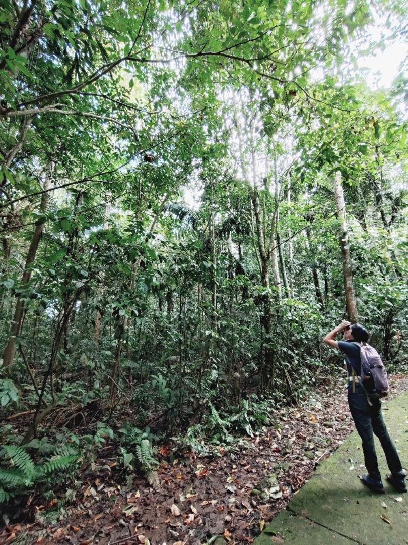 どこにいるかわかりますか? 遠くからみた写真