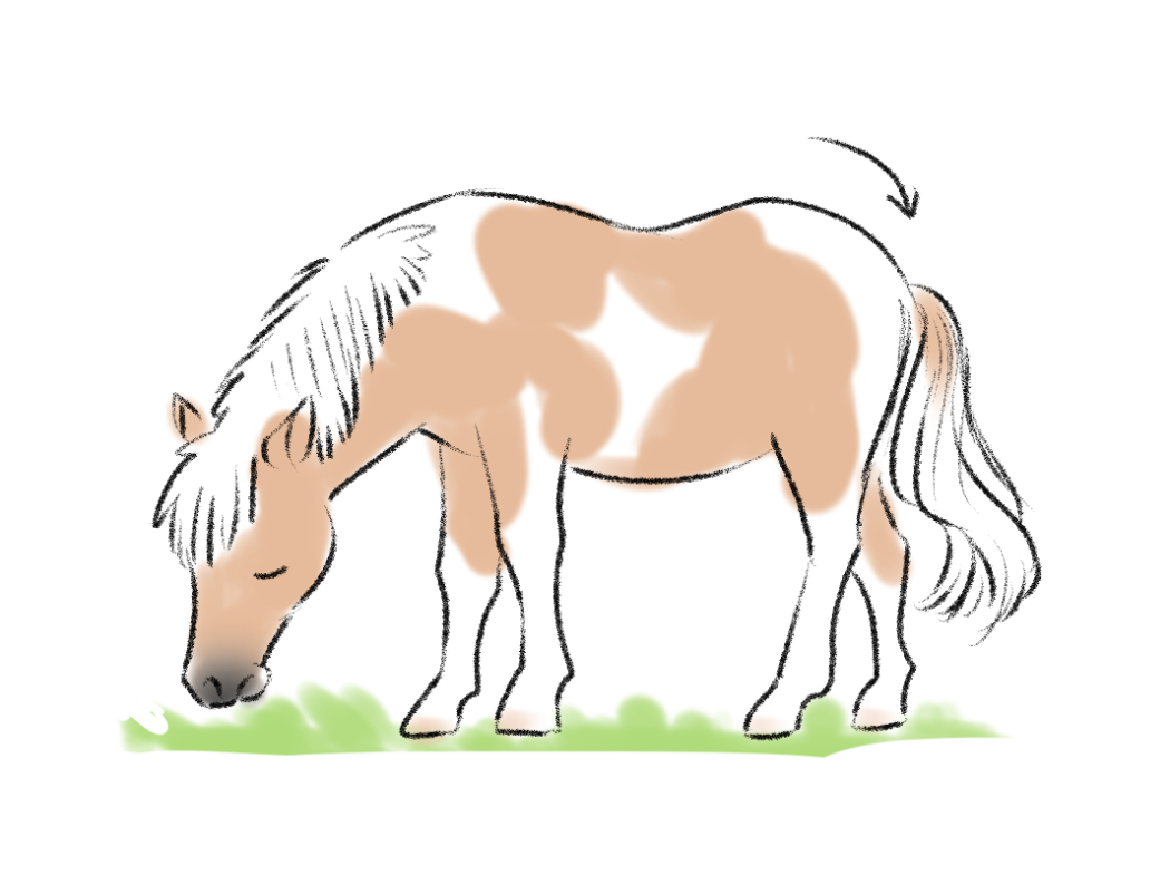 ウマ ウマのイラスト