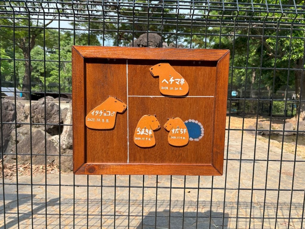 完成したカピバラの識別看板