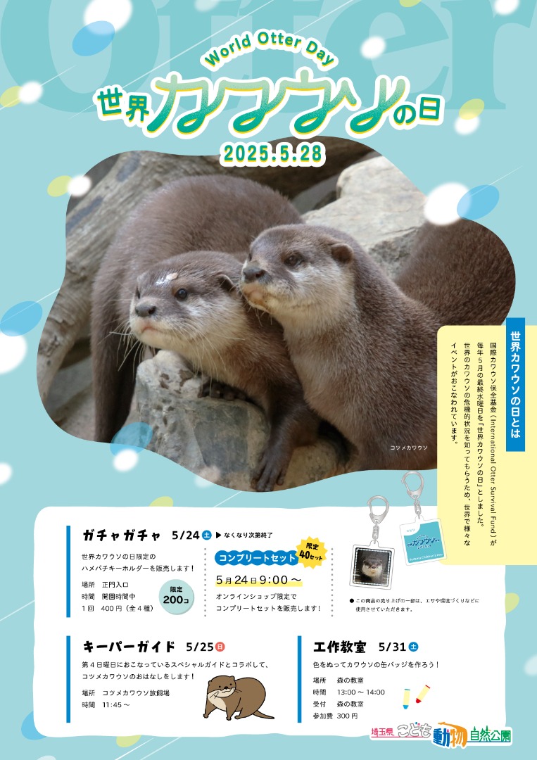 カワウソ