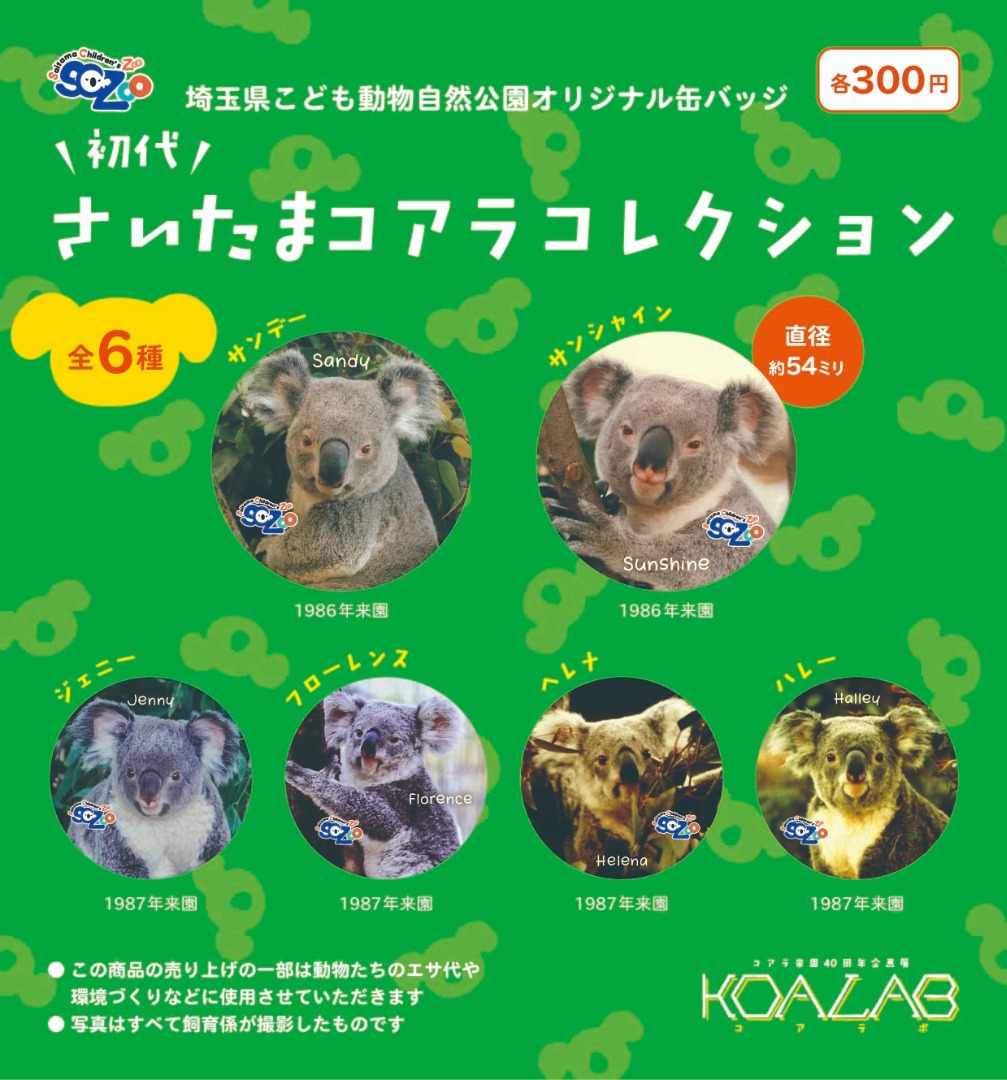 コアラ HAPPY 40th ANNIVERSARY！ | 埼玉県こども動物自然公園 | 公益