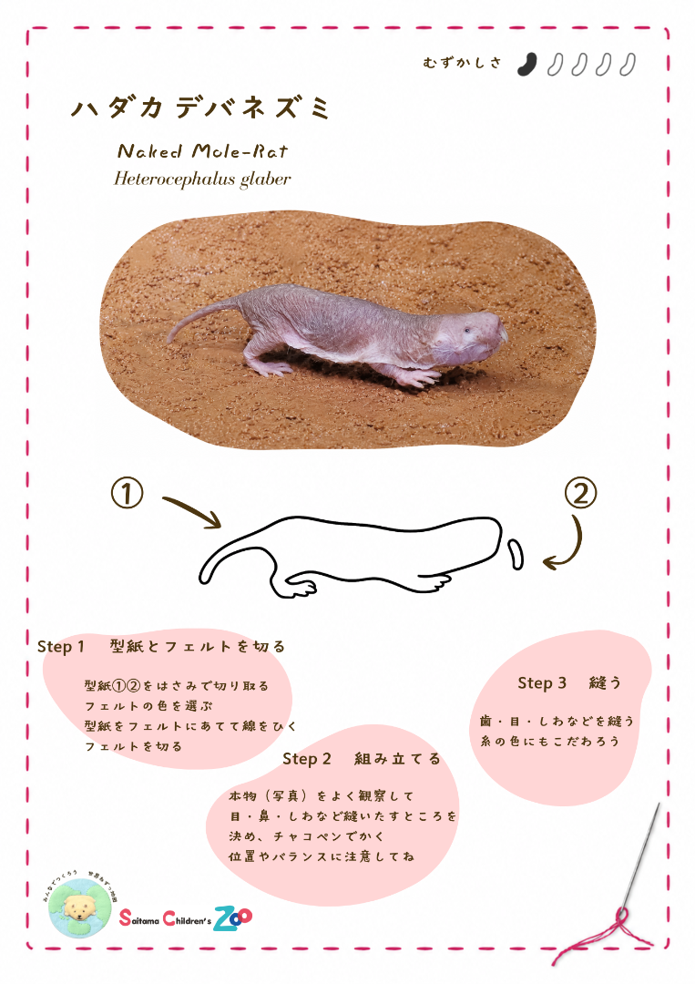 ハダカデバネズミの型紙